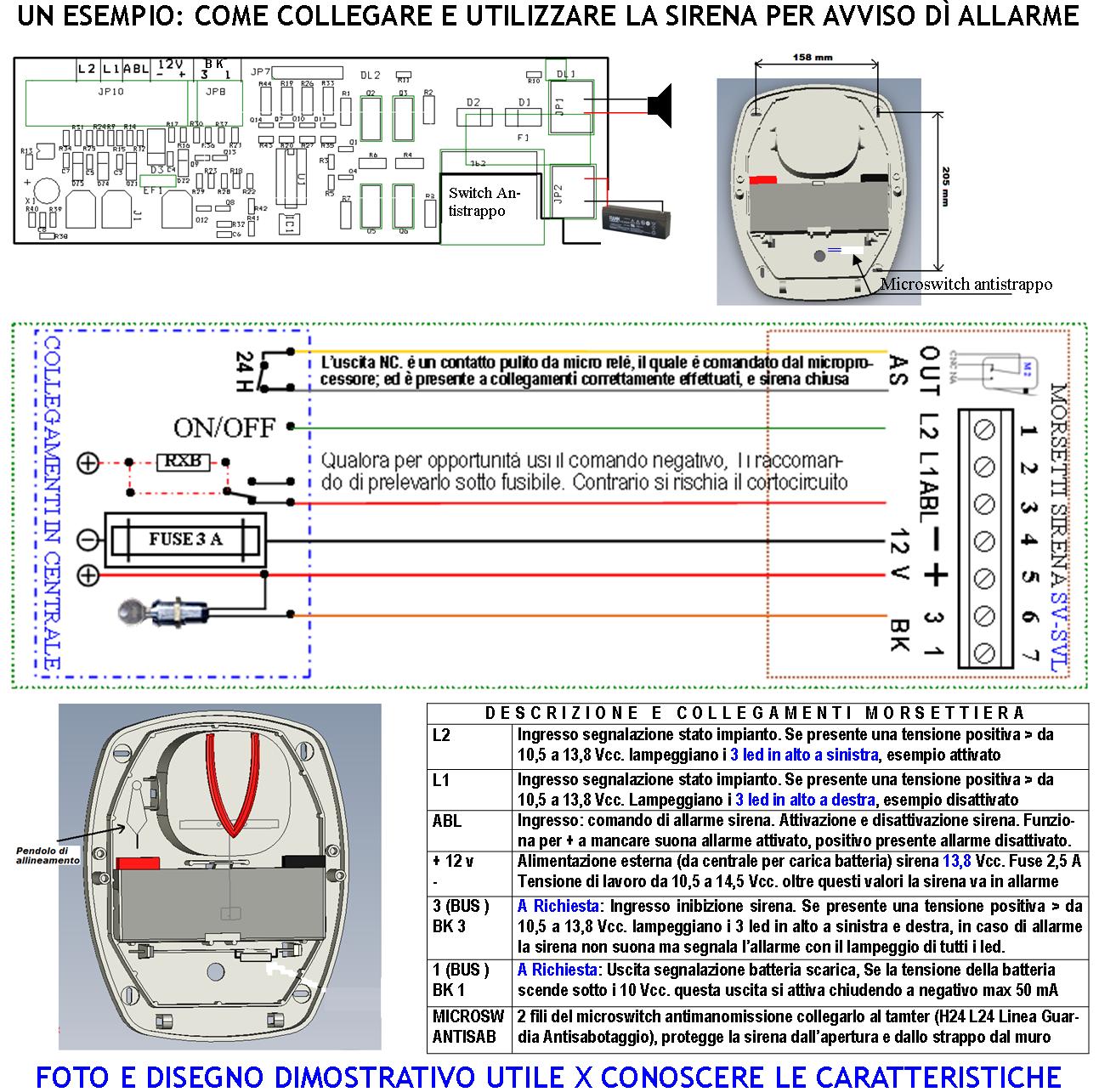 LAMPEGGIANTE LED MAGNETICO 12/24 V - Gruppo DVF