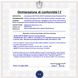 Intermittenza-Per-Lampeggiatore-220 V- 20 W-Automatismo-Solo-Lampada- Incandescenza-Filamento-Resist